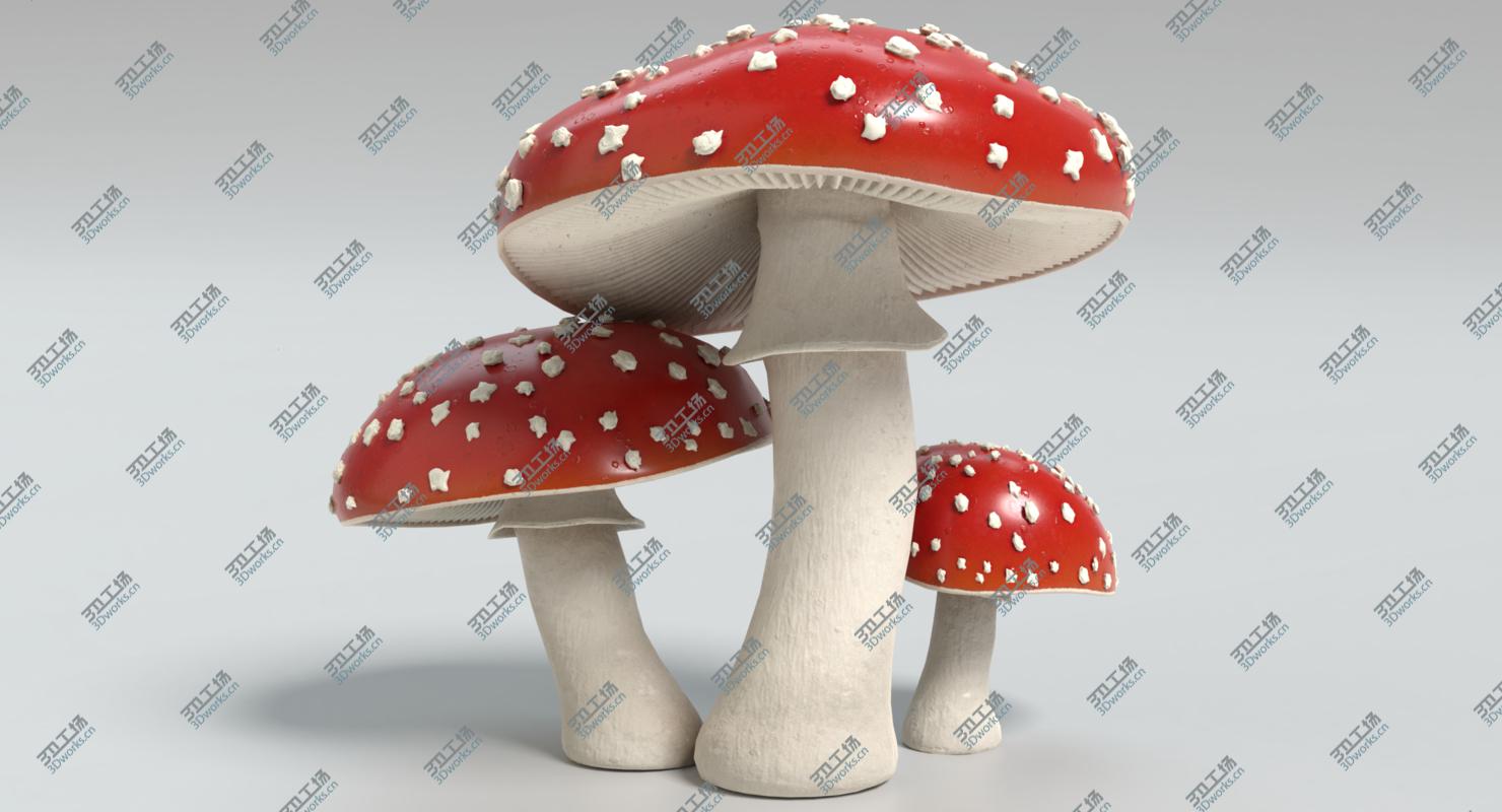 images/goods_img/202105072/Amanita Mushrooms/1.jpg